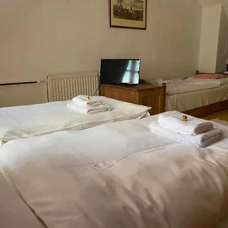 Bed & Breakfast Sarkany Bio Panzio *