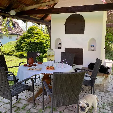 Bed & Breakfast Sarkany Bio Panzio