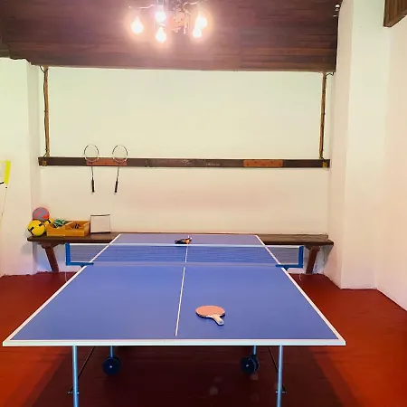 Bed & Breakfast Sarkany Bio Panzio *